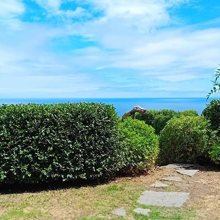 Faial Cottage B&B Cedros Eksteriør bilde