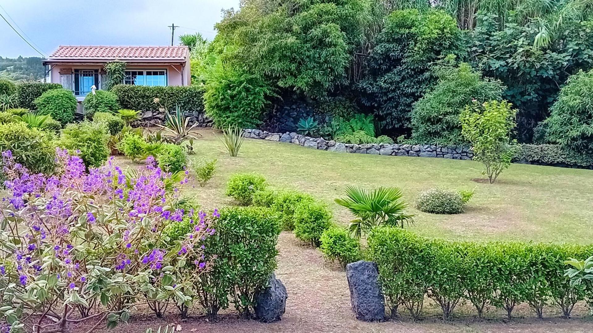 Faial Cottage B&B Cedros Eksteriør bilde